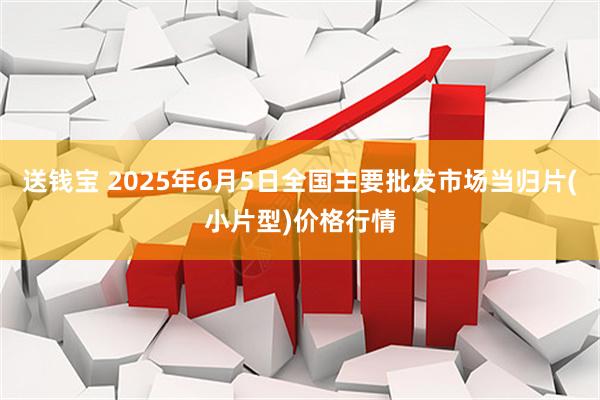 送钱宝 2025年6月5日全国主要批发市场当归片(小片型)价格行情