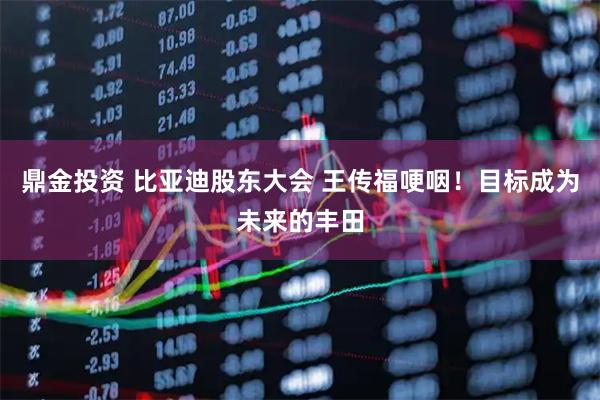鼎金投资 比亚迪股东大会 王传福哽咽！目标成为未来的丰田