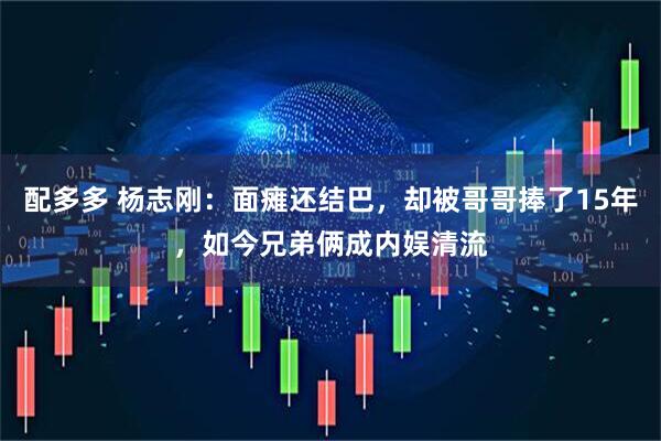 配多多 杨志刚：面瘫还结巴，却被哥哥捧了15年，如今兄弟俩成内娱清流